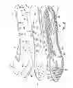 Fig. 09 - Sole structure with alternating spring and damping layers