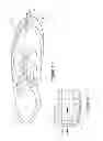 Fig. 09 - Athletic Shoe with Retractable Sole