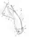 Fig. 02 - Base for a ski boot and ski boot incorporating such a base