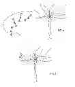 Fig. 06 - Pest control method and apparatus