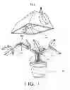 Fig. 02 - Plant manipulator