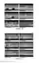 Fig. 08 - Particulate filter control system and method