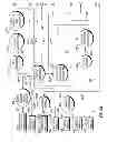 Fig. 07 - METHODS AND SYSTEMS FOR STORING AND TRANSPORTING GASES