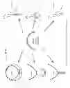 Fig. 32 - METHODS, SYSTEMS, AND APPARATUSES FOR INCORPORATING WIRELESS HEADSETS, TERMINALS, AND COMMUNICATION DEVICES INTO FASHION ACCESSORIES AND JEWELRY