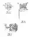 Fig. 02 - Earring for pierced ears