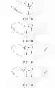 Fig. 19 - GEMSTONE CUT