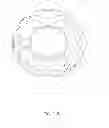 Fig. 25 - GEMSTONE CUT