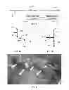 Fig. 02 - METHOD FOR DETECTING DEFECTS IN TREATING IRON COMPONENTS
