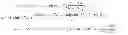 Fig. 09 - Digital flowmeter