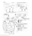 Fig. 01 - METHOD FOR MANAGING DAIRY PRODUCTION