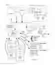 Fig. 02 - METHOD FOR MANAGING DAIRY PRODUCTION