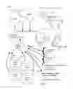 Fig. 08 - METHOD FOR MANAGING DAIRY PRODUCTION