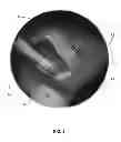 Fig. 04 - Animal housing assembly