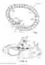 Fig. 02 - Animal Collar Cover