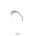 Fig. 04 - Lash holder