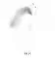 Fig. 06 - Lash holder