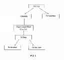 Fig. 04 - Supercritical fluid cleaning of banknotes and secure documents