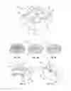 Fig. 08 - SAND PRINTED MOLD PACKAGE FOR CASTING A WHEEL ASSEMBLY HAVING DIRECTIONAL SOLIDIFICATION FEATURES