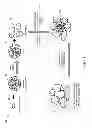 Fig. 02 - Expanded wellbore servicing materials and methods of making and using same