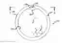 Fig. 01 - Toneable conduit optimized for conduit shrinkage and elongation