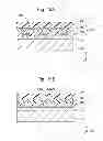 Fig. 22 - PRINTED WIRING BOARD AND METHOD FOR MANUFACTURING THE SAME