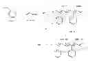 Fig. 01 - Chemically tagged polymers for simplified quantification and related methods