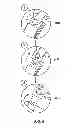 Fig. 07 - Easy access bandages, packaging, and systems for application