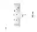 Fig. 08 - Induction activated thermal bonding