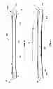 Fig. 06 - Container having a pre-curved lid
