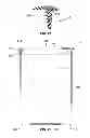 Fig. 19 - Container having a pre-curved lid