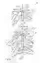 Fig. 04 - MIXING NOZZLE ASSEMBLY HAVING A VALVE ELEMENT, FLUID DISPENSING ASSEMBLY, AND RELATED METHOD