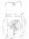 Fig. 05 - Backpack with Adjustable Strap