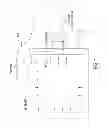 Fig. 02 - SYSTEM AND METHOD FOR AUTOMATICALLY MONITORING, REGULATING AND REMOVING CONTAMINANTS FROM AN AREA ABOVE A BODY OF LIQUID