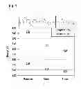 Fig. 02 - MATERIALS FOR ORGANIC ELECTROLUMINESCENT DEVICES