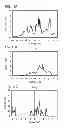 Fig. 12 - Thin film transistor, method for manufacturing the same, and semiconductor device