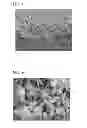 Fig. 09 - Mold having an uneven surface structure, optical article, manufacturing method therefor, transparent substrate for surface light emitter and surface light emitter