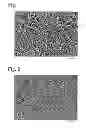 Fig. 02 - Compression ring and its production method