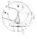 Fig. 06 - Kick scooter
