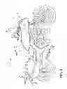 Fig. 02 - Housing structure in saddle type vehicle