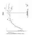 Fig. 09 - Vehicle-body structure of vehicle