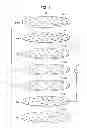 Fig. 03 - Plasma generator and plasma generating device