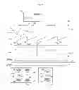 Fig. 06 - High resolution control for a multimode SMPS converter and high resolution slope generator