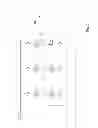 Fig. 04 - Inverter cell for a ring oscillator