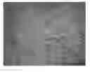 Fig. 01 - NdFeB system sintered magnet