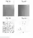 Fig. 04 - NdFeB system sintered magnet