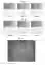 Fig. 06 - NdFeB system sintered magnet