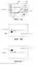 Fig. 06 - Systems and methods for dynamically and intelligently monitoring a host's glycemic condition after an alert is triggered
