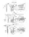 Fig. 35 - Interactive devices
