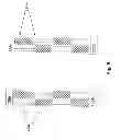 Fig. 08 - Acoustic touch apparatus with addressable multi-touch capability