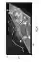 Fig. 07 - 3D VISUALIZATION OF BOREHOLE DATA